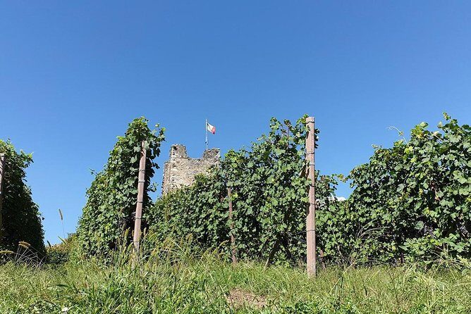 Wine and Food tasting PRIVATE Guided Tour - Your Private 6–8 Hour Rhythm from Lake Como